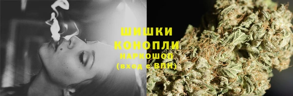 крисы Лабытнанги