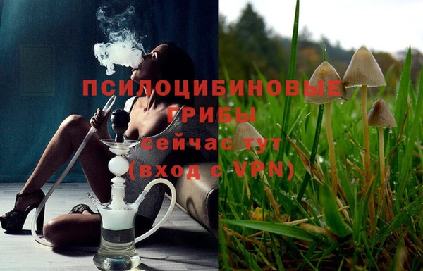 соль ск Алексин