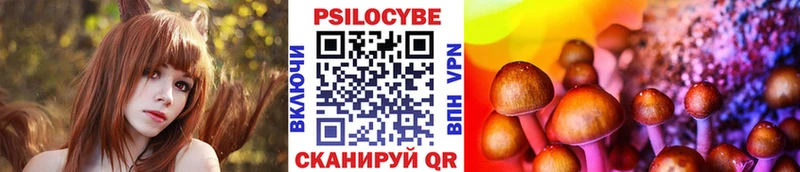 Псилоцибиновые грибы Cubensis  Алушта 